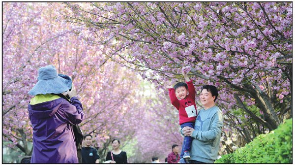 Tourists take photos on the campus of Xi'an Jiaotong University in Shaanxi province on March 31.Yuan Jingzhi / For China Daily Tourists take photos on the campus of Xi'an Jiaotong University in Shaanxi province on March 31.Yuan Jingzhi / For China Daily