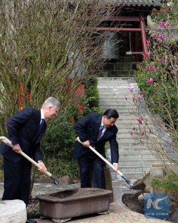 Chinese President Xi Jinping (R) and Belgian King Philippe shovel soil on a magnolia tree at the Pairi Daiza zoo in Brugelette, Belgium, March 30, 2014. (Xinhua file photo/Ma Zhancheng) Chinese President Xi Jinping (R) and Belgian King Philippe shovel soil on a magnolia tree at the Pairi Daiza zoo in Brugelette, Belgium, March 30, 2014. (Xinhua file photo/Ma Zhancheng)