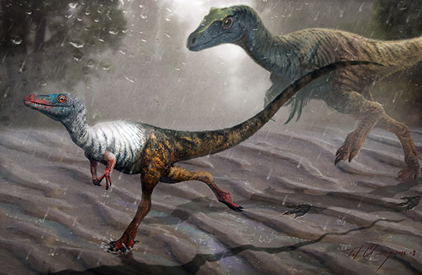 Illustration of Minisauripus based on footprints recently discovered in Zhaojue county, Sichuan province.(Zhang Zongda/China Daily) Illustration of Minisauripus based on footprints recently discovered in Zhaojue county, Sichuan province.(Zhang Zongda/China Daily)