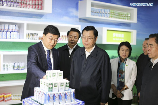 Zhang Dejiang, chairman of the Standing Committee of China's National People's Congress (NPC), inspects the safety supervision of dairy products at Inner Mongolia Yili Industrial Group Co., Ltd. in Hohhot, capital of Inner Mongolia Autonomous Region, May 8, 2016. (Xinhua/Ding Lin) Zhang Dejiang, chairman of the Standing Committee of China's National People's Congress (NPC), inspects the safety supervision of dairy products at Inner Mongolia Yili Industrial Group Co., Ltd. in Hohhot, capital of Inner Mongolia Autonomous Region, May 8, 2016. (Xinhua/Ding Lin)