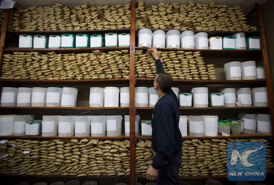 Image taken on May 11, 2016, of an employee storing a backup sample of soy seeds, in the Soy Gathering, Conditioning and Marketing Plant of the agricultural cooperative Argentine Federated Farmers in Maciel city, Santa Fe province, Argentina. (Xinhua/Martin Zabala) Image taken on May 11, 2016, of an employee storing a backup sample of soy seeds, in the Soy Gathering, Conditioning and Marketing Plant of the agricultural cooperative Argentine Federated Farmers in Maciel city, Santa Fe province, Argentina. (Xinhua/Martin Zabala)