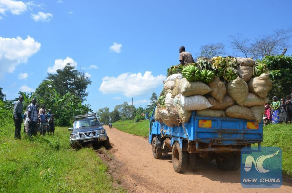Photo taken on Nov. 26, 2015 shows a truck loaded with sacks of agricultural produce along the muddy Sironko-Mbale road at Bugusege trading centre, eastern Uganda. (Photo: Xinhua/Daniel Edyegu) Photo taken on Nov. 26, 2015 shows a truck loaded with sacks of agricultural produce along the muddy Sironko-Mbale road at Bugusege trading centre, eastern Uganda. (Photo: Xinhua/Daniel Edyegu)