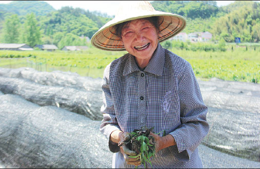 Cheng Shilian among her fields of tea seedlings in Niujiaochong village, Huoshan county, Anhui province. (Zhu Lixin / China Daily) Cheng Shilian among her fields of tea seedlings in Niujiaochong village, Huoshan county, Anhui province. (Zhu Lixin / China Daily)