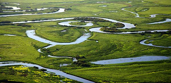 The preserve of Naoli River's wetlands is among the top 10 wetlands in Heilongjiang province.(Photo provided to China Daily) The preserve of Naoli River's wetlands is among the top 10 wetlands in Heilongjiang province.(Photo provided to China Daily)