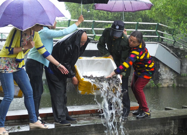 People release more than 50 kg of loaches into a river in Yichang, Hubei province, to celebrate the Buddha's birthday on May 14. (Photo by Liu Junfeng/China Daily) People release more than 50 kg of loaches into a river in Yichang, Hubei province, to celebrate the Buddha's birthday on May 14. (Photo by Liu Junfeng/China Daily)