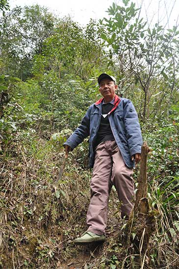 Qiao Changsheng bears witness to Shennongjia’s change from a timber farm to a nature reserve. (Photo by Liu Xiangrui/China Daily) Qiao Changsheng bears witness to Shennongjia’s change from a timber farm to a nature reserve. (Photo by Liu Xiangrui/China Daily)