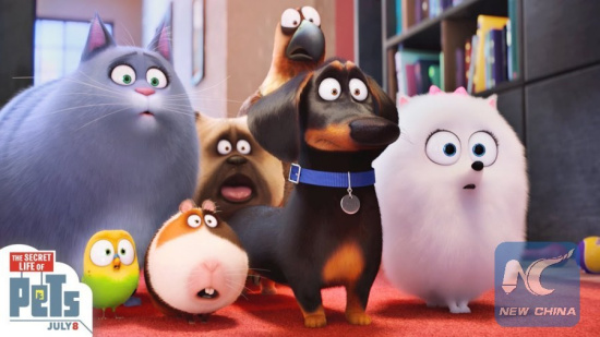 A poster for the film the Secret Life of Pets, which was put on the big screen on July 8, 2016. (Web Pick) A poster for the film the Secret Life of Pets, which was put on the big screen on July 8, 2016. (Web Pick)