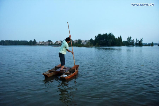 A man paddles on a small boat in Huangtan Township in Tianmen, central China's Hubei Province, July 25, 2016. (Xinhua/Xiong Qi) A man paddles on a small boat in Huangtan Township in Tianmen, central China's Hubei Province, July 25, 2016. (Xinhua/Xiong Qi)