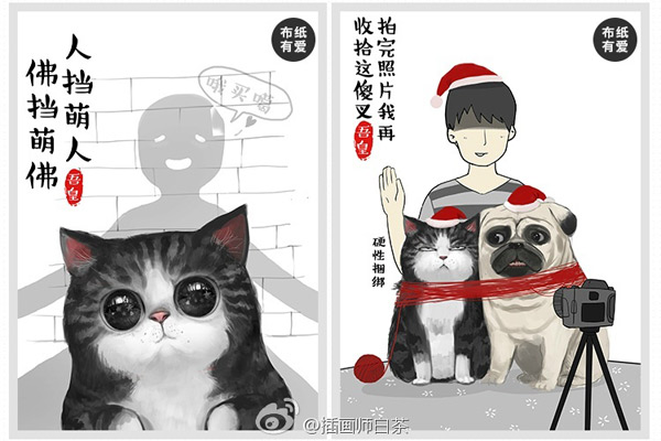 Being it human or immortal, whoever stands beyond me shall be conquered by my cuteness! (Photo/Official Weibo account of Baicha) Being it human or immortal, whoever stands beyond me shall be conquered by my cuteness! (Photo/Official Weibo account of Baicha)
