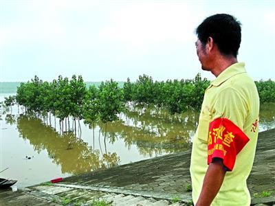 A local resident patrols the levee at Paizhouwan town, where 19 PLA soldiers died fighting the 1998 flood. (Photo/Chutian Metropolis Daily) A local resident patrols the levee at Paizhouwan town, where 19 PLA soldiers died fighting the 1998 flood. (Photo/Chutian Metropolis Daily)