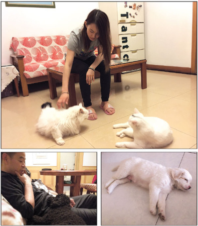 Clockwise from top: Yang Jie with two of her seven cats, and she's saddened by the fact that there are so many stray cats in Beijing; Qiao Jingwen's Baobao; Jiang Xiaobin's father with his poodle Xiaohei.(Photo/China Daily) Clockwise from top: Yang Jie with two of her seven cats, and she's saddened by the fact that there are so many stray cats in Beijing; Qiao Jingwen's Baobao; Jiang Xiaobin's father with his poodle Xiaohei.(Photo/China Daily)