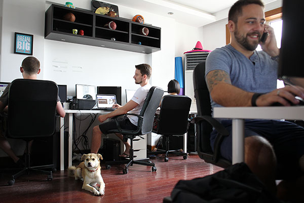 A dog waits in the office where its owner works in Shanghai. (Gao Erqiang / China Daily) A dog waits in the office where its owner works in Shanghai. (Gao Erqiang / China Daily)