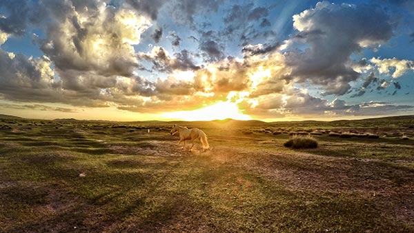 The scenic grassland in Fengning county, Hebei province, is where the festival will be held. (Photo provided to China Daily) The scenic grassland in Fengning county, Hebei province, is where the festival will be held. (Photo provided to China Daily)