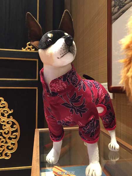 Coats for dogs on display during an innovation competition held by the Palace Museum in Beijing. (Photo/Sina Weibo) Coats for dogs on display during an innovation competition held by the Palace Museum in Beijing. (Photo/Sina Weibo)