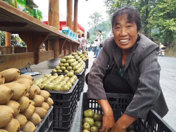 A famer sells kiwi fruits in Changputang village, Fenghuang county, Hunan province on Aug 31, 2016. (Photo by Xiao Yi/provided to chinadaily.com.cn) A famer sells kiwi fruits in Changputang village, Fenghuang county, Hunan province on Aug 31, 2016. (Photo by Xiao Yi/provided to chinadaily.com.cn)