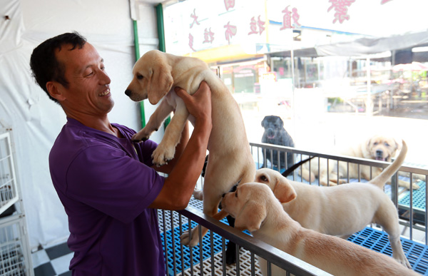 Guo Jishi is the co-owner of one of the shops in Liyuan dog market. (Photo by Zou Hong/China Daily) Guo Jishi is the co-owner of one of the shops in Liyuan dog market. (Photo by Zou Hong/China Daily)