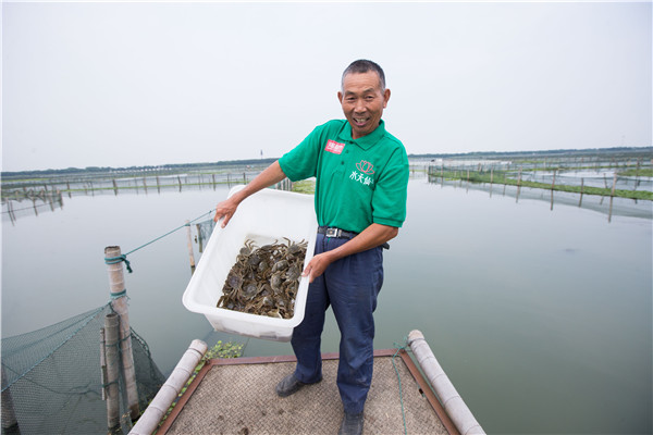 A farmer holds a box of newly harvested crabs at Yangcheng Lake in Suzhou, Jiangsu province, on Friday.(Photo:China Daily/Xu Kangping) A farmer holds a box of newly harvested crabs at Yangcheng Lake in Suzhou, Jiangsu province, on Friday.(Photo:China Daily/Xu Kangping)
