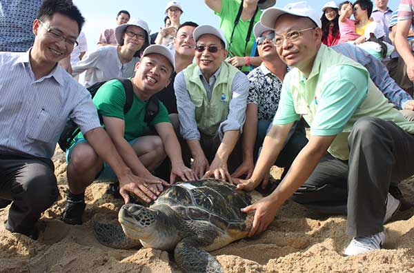 Animal lovers take pictures with a sea turtle in October before it is set free at the National Huizhou Sea Turtle Reserve. Cai Ruizhi / For China Daily Animal lovers take pictures with a sea turtle in October before it is set free at the National Huizhou Sea Turtle Reserve. Cai Ruizhi / For China Daily