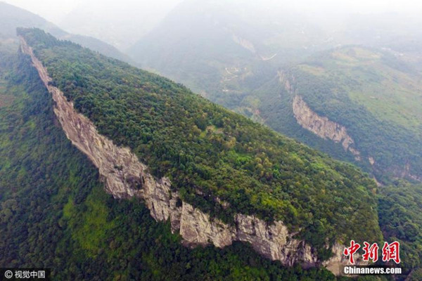 A view of traditional Chinese medicinal herbs on the Tiantai Mountain in Luzhou City, Southwest China’s Sichuan Province. Liu in his sixties has been growing two hectares of medicinal herbs on the previously barren mountain for 30 years. (Photo/CFP) A view of traditional Chinese medicinal herbs on the Tiantai Mountain in Luzhou City, Southwest China’s Sichuan Province. Liu in his sixties has been growing two hectares of medicinal herbs on the previously barren mountain for 30 years. (Photo/CFP)