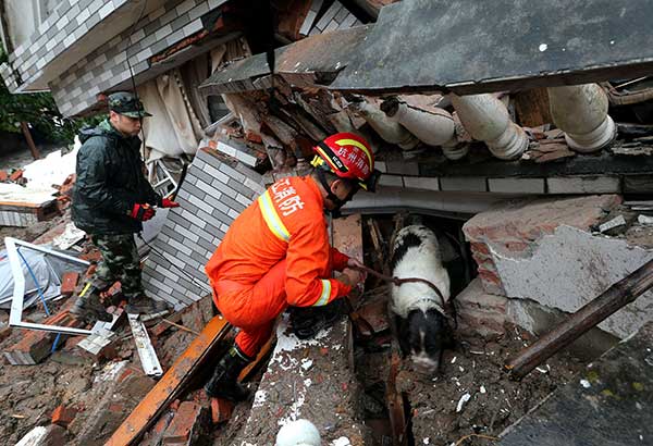 Rescuers and a sniffer dog search for survivors at the landslide site in Suichang county, Zhejiang province, on Thursday.(Lin Yunling/For China Daily) Rescuers and a sniffer dog search for survivors at the landslide site in Suichang county, Zhejiang province, on Thursday.(Lin Yunling/For China Daily)
