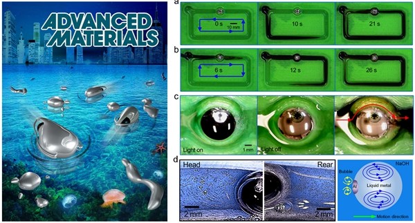 Cover of an issue of Avanced Materials published last year and illustrations of its findings. (Photo from web) Cover of an issue of Avanced Materials published last year and illustrations of its findings. (Photo from web)