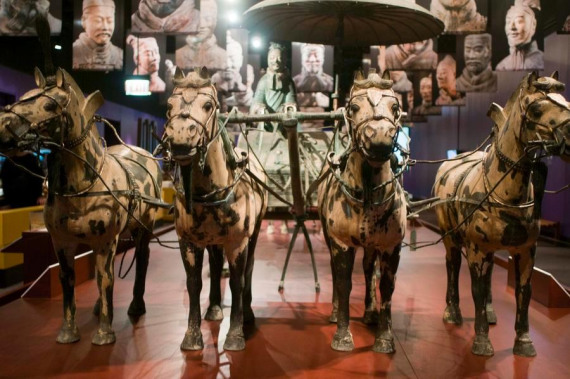 photo taken on March 1 shows the terracotta horses from China on display at the Field Museum in Chicago. (Photo/Xinhua) photo taken on March 1 shows the terracotta horses from China on display at the Field Museum in Chicago. (Photo/Xinhua)