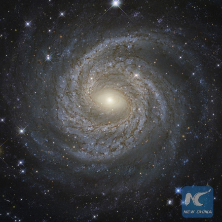 A NASA/ESA Hubble Space Telescope image shows a spiral galaxy NGC 6814, whose luminous nucleus and spectacular sweeping arms, rippled with an intricate pattern of dark dust, is a highly variable source of X-ray radiation, causing scientists to suspect that it hosts a supermassive black hole with a mass about 18 million times that of the Sun. (Courtesy of NASA) A NASA/ESA Hubble Space Telescope image shows a spiral galaxy NGC 6814, whose luminous nucleus and spectacular sweeping arms, rippled with an intricate pattern of dark dust, is a highly variable source of X-ray radiation, causing scientists to suspect that it hosts a supermassive black hole with a mass about 18 million times that of the Sun. (Courtesy of NASA)