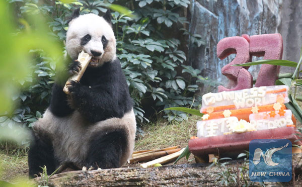 Female giant panda Jia Jia celebrated her 37th birthday at the Ocean Park in Hong Kong, south China, July 28, 2015. (Photo/Xinhua) Female giant panda Jia Jia celebrated her 37th birthday at the Ocean Park in Hong Kong, south China, July 28, 2015. (Photo/Xinhua)