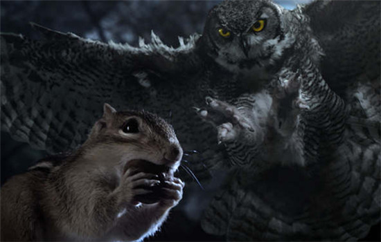 Hidden Kingdoms under Open Skies is among the nature films screened at the ongoing Earthland Wildscreen Film Festival. Hidden Kingdoms under Open Skies is among the nature films screened at the ongoing Earthland Wildscreen Film Festival.
