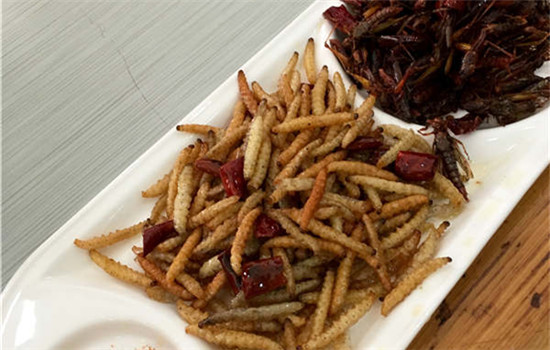 Deep-fried bamboo worms, locusts and flowers are common dishes in Yunnan. (Photos by Erik Nilsson/China Daily) Deep-fried bamboo worms, locusts and flowers are common dishes in Yunnan. (Photos by Erik Nilsson/China Daily)