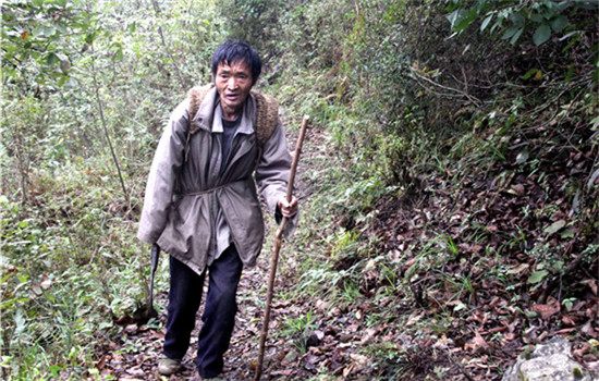 Zhang Youguang, 65, has taken care of an area of mountain forests in Puding county in Guizhou province for 43 years. (DONG XIANWU/CHINA DAILY) Zhang Youguang, 65, has taken care of an area of mountain forests in Puding county in Guizhou province for 43 years. (DONG XIANWU/CHINA DAILY)