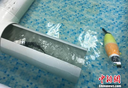 A robot fish inspects a pipeline. (Photo:Chinanews.com/Liu Yutao) A robot fish inspects a pipeline. (Photo:Chinanews.com/Liu Yutao)