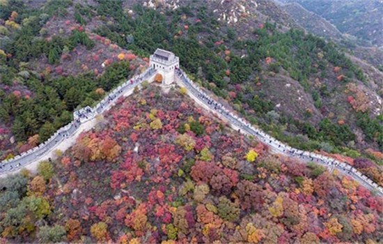 The scenery of Badaling Great Wall in autumn. (Photo/Xinhua) The scenery of Badaling Great Wall in autumn. (Photo/Xinhua)