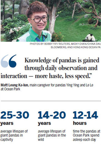 (Photo provided to China Daily) (Photo provided to China Daily)