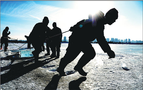 A block of ice, measuring 1.6 meters by 800 cm and weighing about 700 kg, requires two ice collectors to pull it out of the water. (Photo By Zhang Qingyun / For China Daily) A block of ice, measuring 1.6 meters by 800 cm and weighing about 700 kg, requires two ice collectors to pull it out of the water. (Photo By Zhang Qingyun / For China Daily)