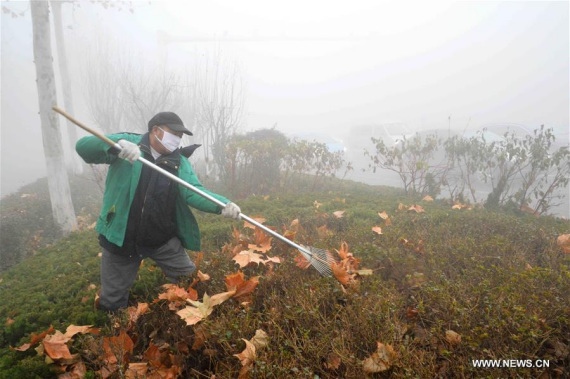 A worker clears off fallen leaves amid smog in Qingzhou City, east China's Shandong Province, Dec. 20, 2016. Heavy smog lingers in Beijing, Tianjin and provinces of Hebei, Henan and Shandong on Tuesday. Over 20 cities have issued red alerts for smog. (Photo: Xinhua/Wang Jilin) A worker clears off fallen leaves amid smog in Qingzhou City, east China's Shandong Province, Dec. 20, 2016. Heavy smog lingers in Beijing, Tianjin and provinces of Hebei, Henan and Shandong on Tuesday. Over 20 cities have issued red alerts for smog. (Photo: Xinhua/Wang Jilin)