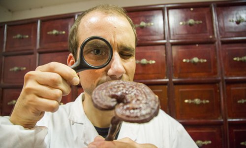 Tim Vukan, one of the growing number of foreigners who study traditional Chinese medicine in China. (Photo/Courtesy of Tim Vukan) Tim Vukan, one of the growing number of foreigners who study traditional Chinese medicine in China. (Photo/Courtesy of Tim Vukan)