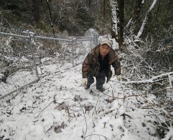 Wei Hua, a panda keeper in southwest China's Sichuan Province. (File photo) Wei Hua, a panda keeper in southwest China's Sichuan Province. (File photo)