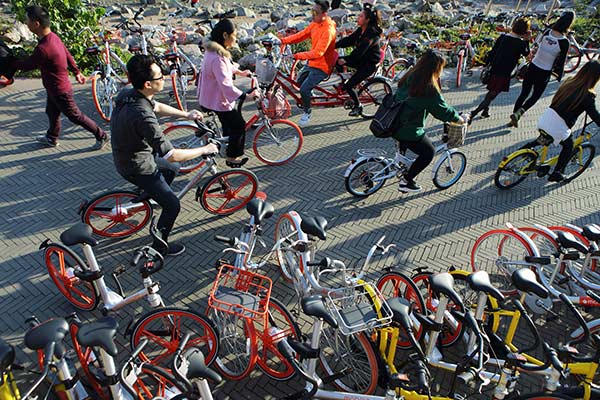 A park crowded by rental bikes in Shenzhen, Guangdong province, on Monday. LAI LI/CHINA DAILY A park crowded by rental bikes in Shenzhen, Guangdong province, on Monday. LAI LI/CHINA DAILY