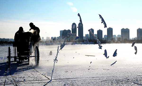 Two collectors use an electric saw to cut the ice into blocks on the frozen Songhua River. (Photo By Zhang Qingyun / For China Daily) Two collectors use an electric saw to cut the ice into blocks on the frozen Songhua River. (Photo By Zhang Qingyun / For China Daily)