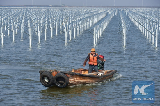 A power worker patrols in an aquaculture farm building and sharing with a solar power project in Cixi City, east China's Zhejiang Province, Dec. 24, 2016. A power worker patrols in an aquaculture farm building and sharing with a solar power project in Cixi City, east China's Zhejiang Province, Dec. 24, 2016.