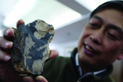 An archeologist shows a fossil found in Anji County. An archeologist shows a fossil found in Anji County.