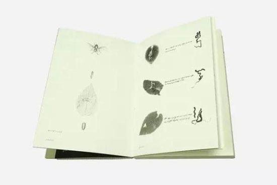 Inside the Book of Bugs. (File photo) Inside the Book of Bugs. (File photo)