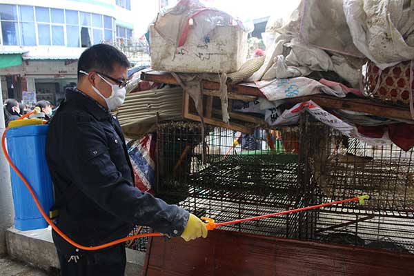 A worker disinfects poultry cages at a market in Suichuan county, Jiangxi province, on Sunday. The county has ordered the closure of local poultry markets from Saturday to March 10. (Li Jianping/For China Daily) A worker disinfects poultry cages at a market in Suichuan county, Jiangxi province, on Sunday. The county has ordered the closure of local poultry markets from Saturday to March 10. (Li Jianping/For China Daily)