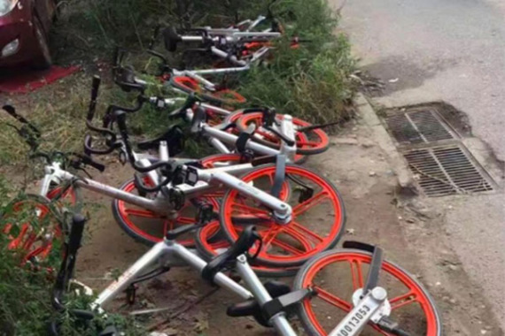 Shared bikes lying in the grass.(Photo/China Daily) Shared bikes lying in the grass.(Photo/China Daily)