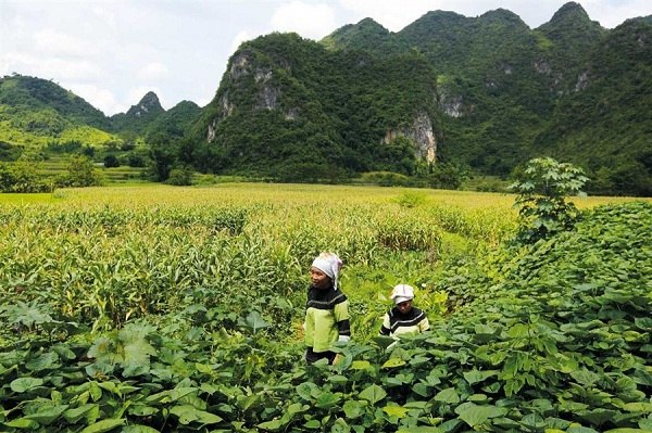 Hidden away, a village evokes fabled paradise