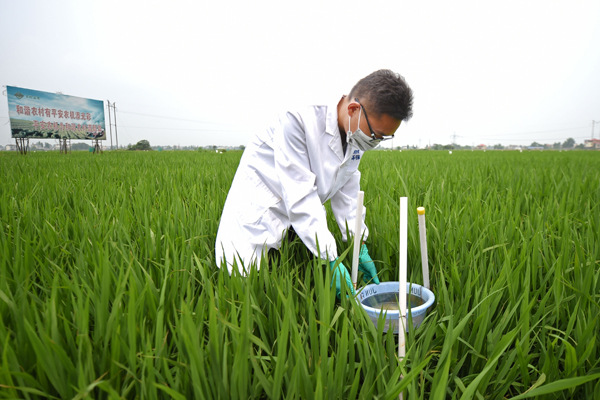 A researcher adjusts a sediment collection vessel in Changsha, Hunan province, in June, as part of efforts to monitor and restore the cadmium-tainted soil. (Photo/Xinhua) A researcher adjusts a sediment collection vessel in Changsha, Hunan province, in June, as part of efforts to monitor and restore the cadmium-tainted soil. (Photo/Xinhua)