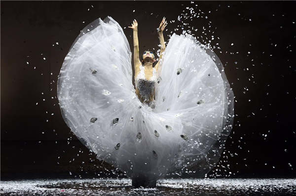 Peacock of Winter, choreographer-dancer Yang Liping's latest production, is the artist's reflection on life. Peacock of Winter, choreographer-dancer Yang Liping's latest production, is the artist's reflection on life.