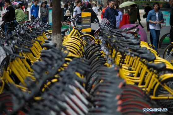 Shared bicycles are seen in Kunming, capital of southwest China's Yunnan Province, April 5, 2017. According to a report from Beijing-based BigData Research, by the end of 2016, there were 18.86 million users of shared bicycles, and the number is expected to expand to 50 million by the end of this year. (Xinhua/Hu Chao) Shared bicycles are seen in Kunming, capital of southwest China's Yunnan Province, April 5, 2017. According to a report from Beijing-based BigData Research, by the end of 2016, there were 18.86 million users of shared bicycles, and the number is expected to expand to 50 million by the end of this year. (Xinhua/Hu Chao)