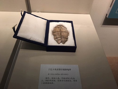 A turtle shell used for divination ceremonies during the Shang Dynasty (1046-771BC) (Photo: Li Jingjing/GT) A turtle shell used for divination ceremonies during the Shang Dynasty (1046-771BC) (Photo: Li Jingjing/GT)